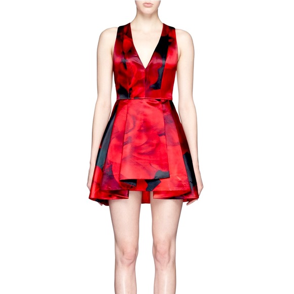 Alice + Olivia Rose Tanner Dress - Picture 2 of 8